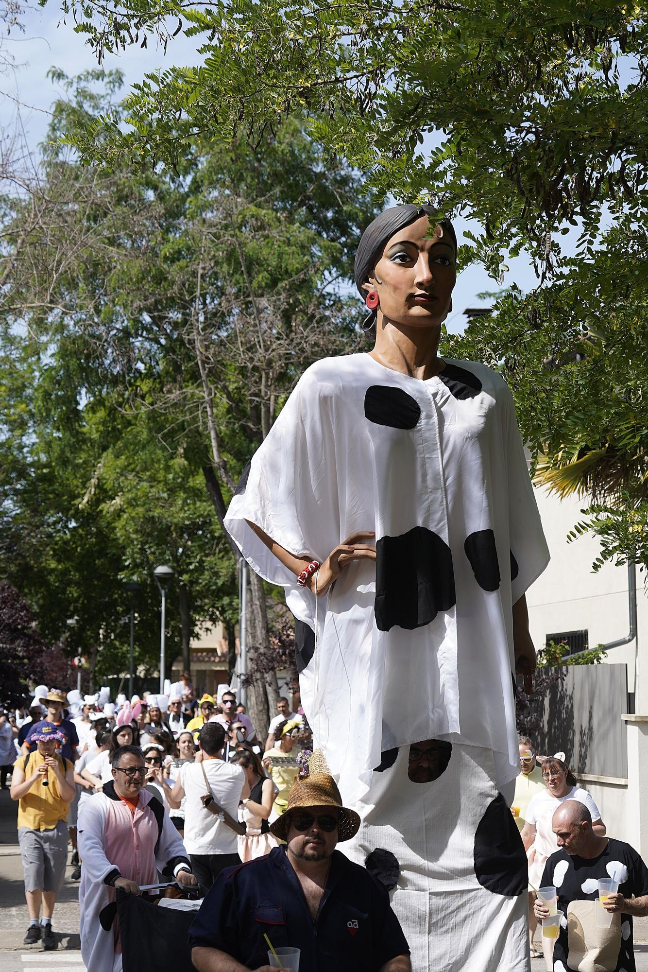 Carnestoltes de l'esquerra del Ter