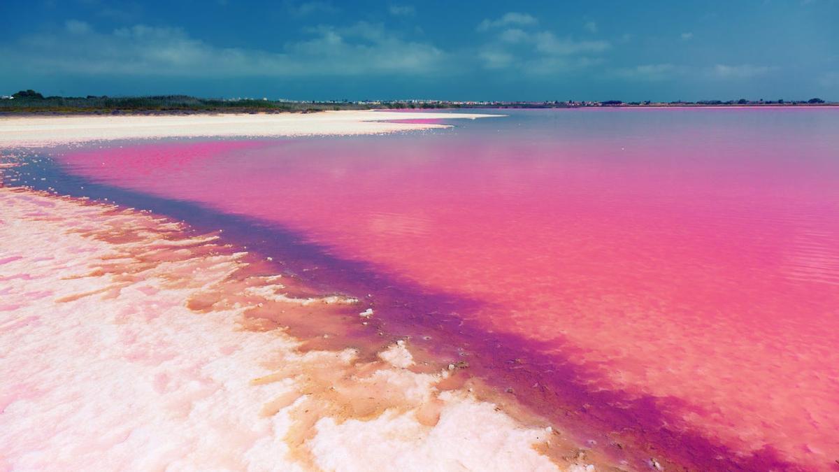 La Laguna Rosa de Torrevieja: una belleza única en la Costa Blanca