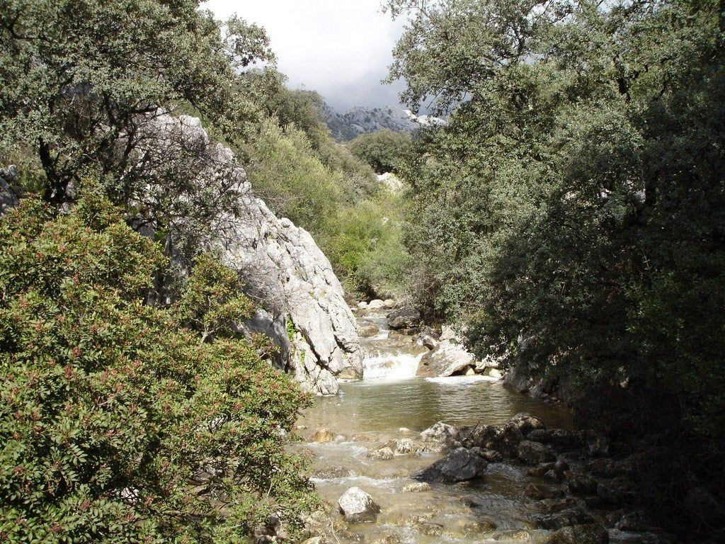 Benacoaz, procastinar