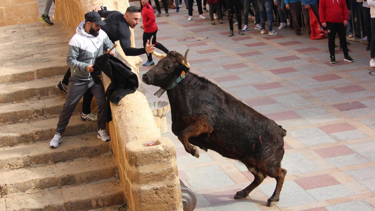 Un acto taurino en Xàbia, ayer domingo
