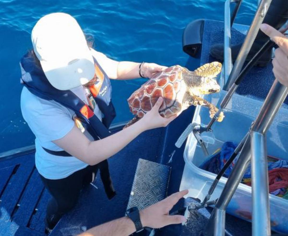 Una devolución al mar.