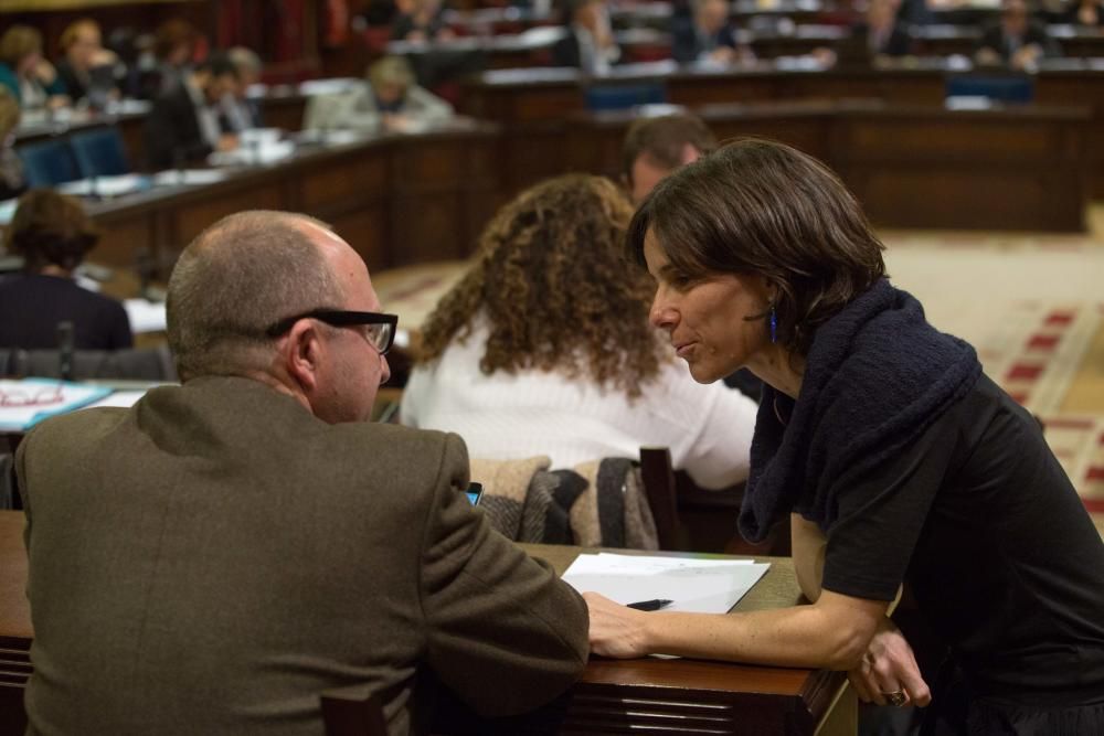 Pleno del Parlament