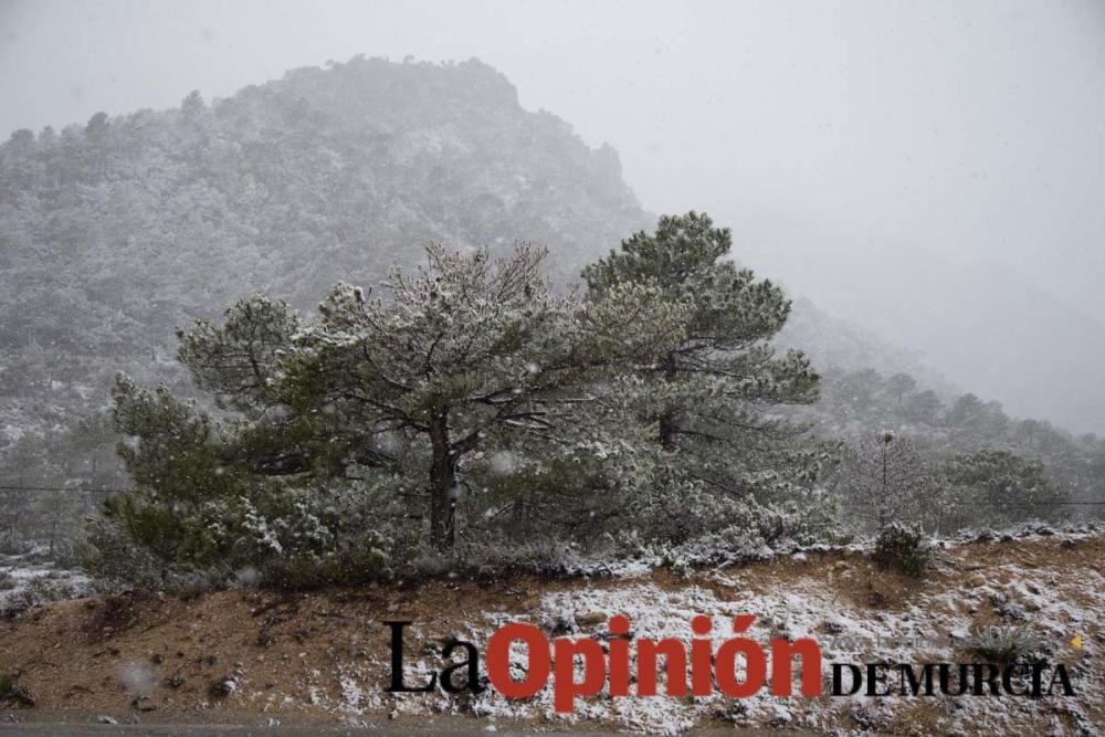 Nieva en las pedanías altas de la comarca del Noro