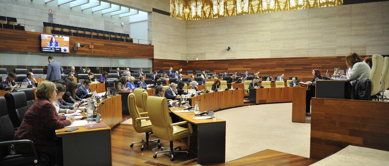 Panorámica del hemiciclo de la Asamblea de Extremadura durante la celebración del pleno