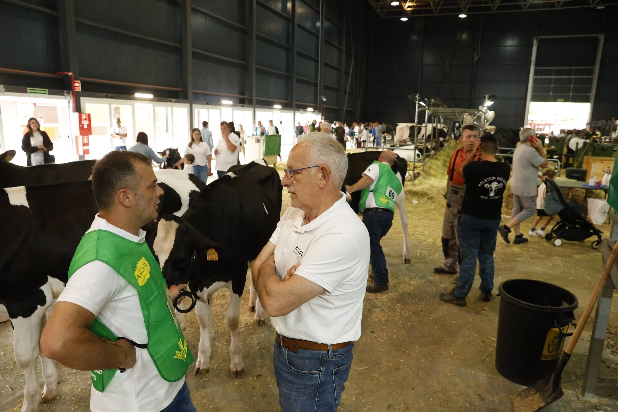 El último día de la Feria de San Antonio en Gijón, en imágenes