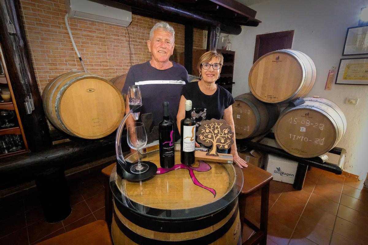 Bodega Señorío de Cabrera