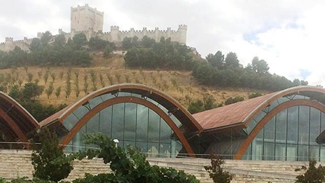 A la izquierda,  Bodegas Protos, de Rogers, en  Peñafiel  (Valladolid).  Junto a estas  líneas,  Protos 3º año. | |  LNE