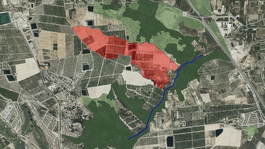 Imagen la superficie que ocuparía la planta solar en la que se observa la cercanía a los espectaculares cauces del paraje del Hoyo Serrano y barranco Calderón