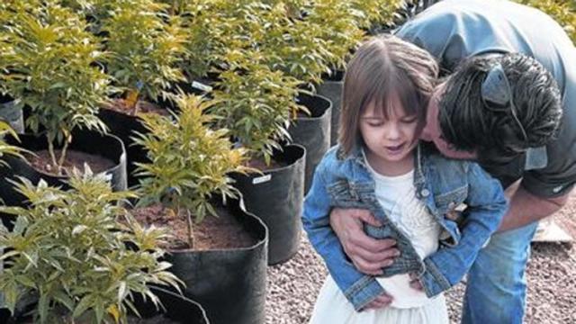 Matt Figi pasea con su hija enferma por un invernadero de maría medicinal, en Colorado.