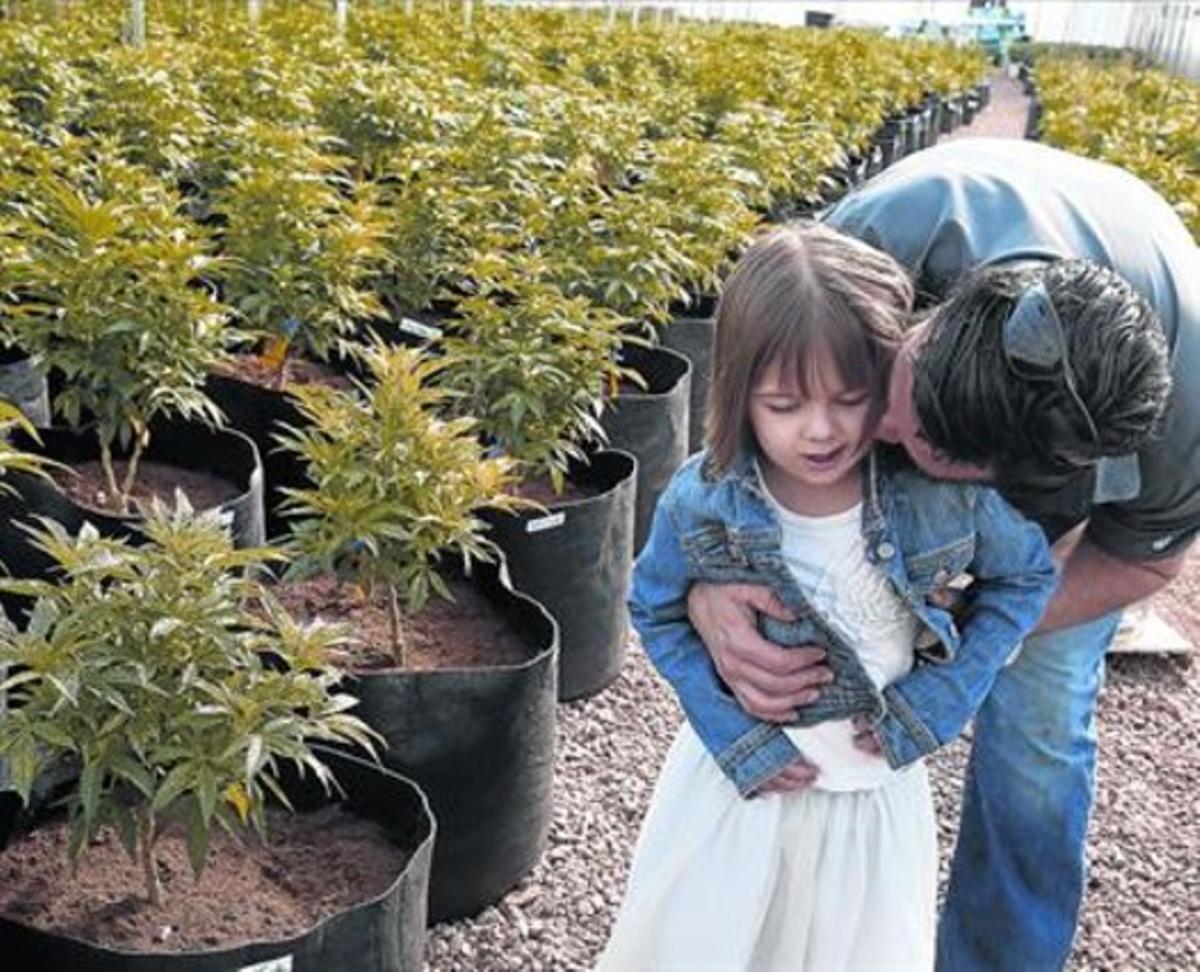 Matt Figi passeja amb la seva filla malalta per un hivernaclede maria medicinal, a Colorado.