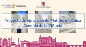 Proyecto de ejecución de plataforma única avenida de la Viñuela (PDF)