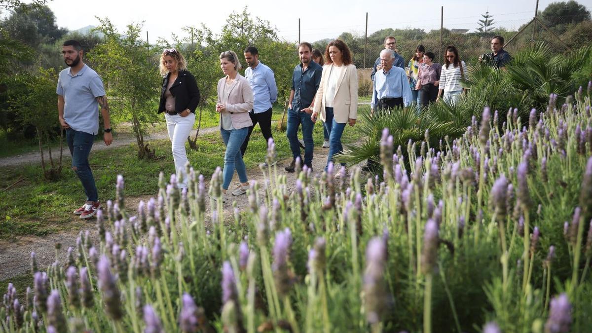 El IMAS concertará con entidades 65 plazas para personas con discapacidad asociada a un trastorno de salud mental