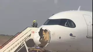 Vogelschlag zwingt Iberia-Maschine zur Rückkehr nach Madrid