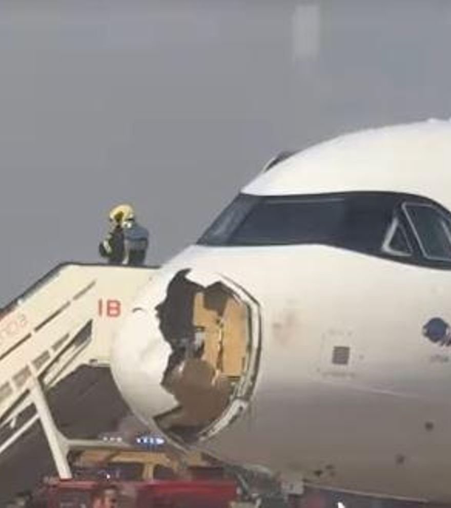 Vogelschlag zwingt Iberia-Maschine zur Rückkehr nach Madrid