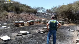 Investigan a un hombre por provocar el incendio forestal de El Tanque en plena alerta por riesgo extremo