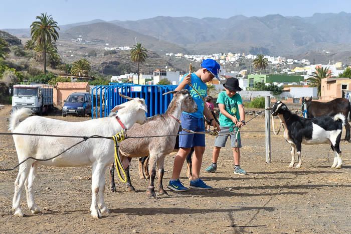 Fiestas del Pilar en Valle de los Nueve Alto