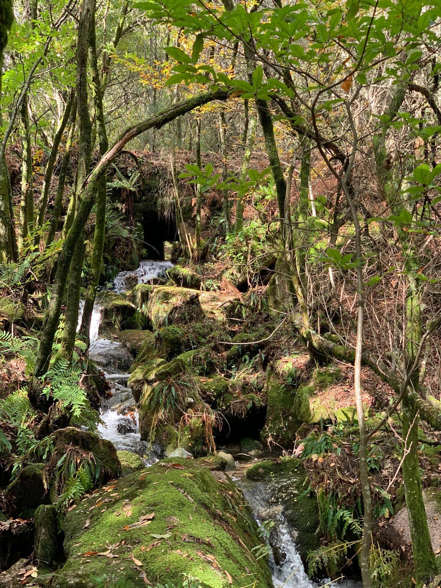 Vista del Parque Natural del Monte Aloia en otoño de 2022.