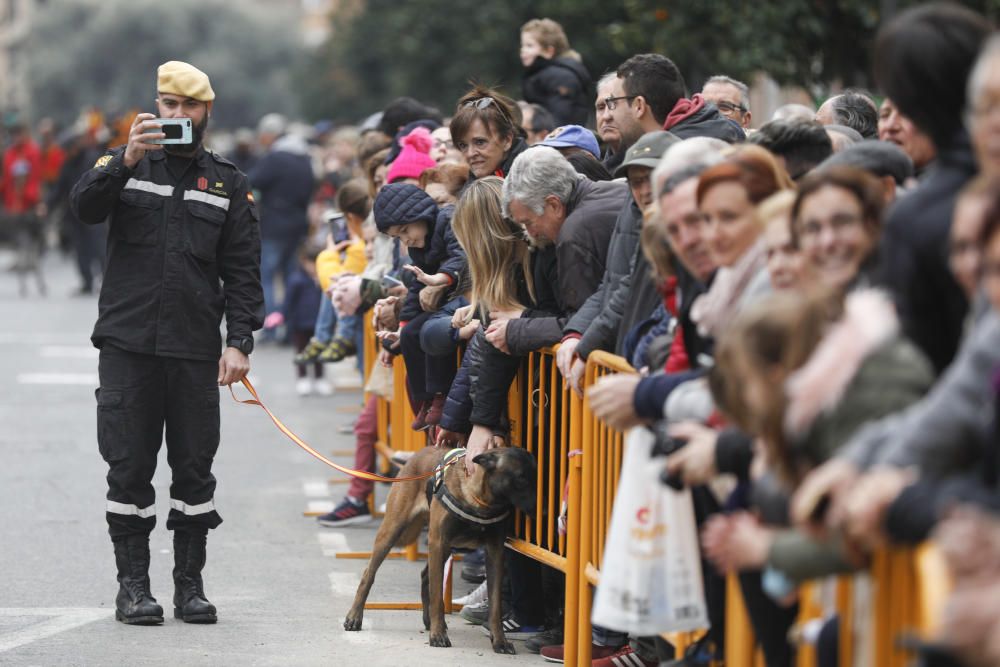 Festividad de Sant Antoni en València