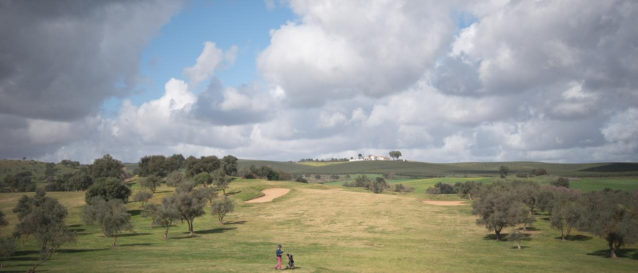 Terrenos sobre los que se construirá el Nuevo Don Tello