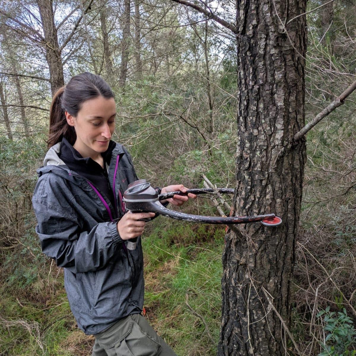 Los trabajos de campo han empezado esta semana.