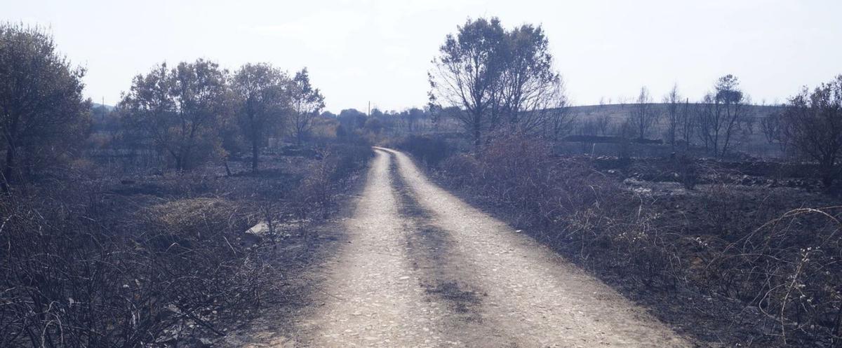 Riofrío de Aliste: un pueblo fundido a negro por segunda vez | EMMA V. DÍAZ