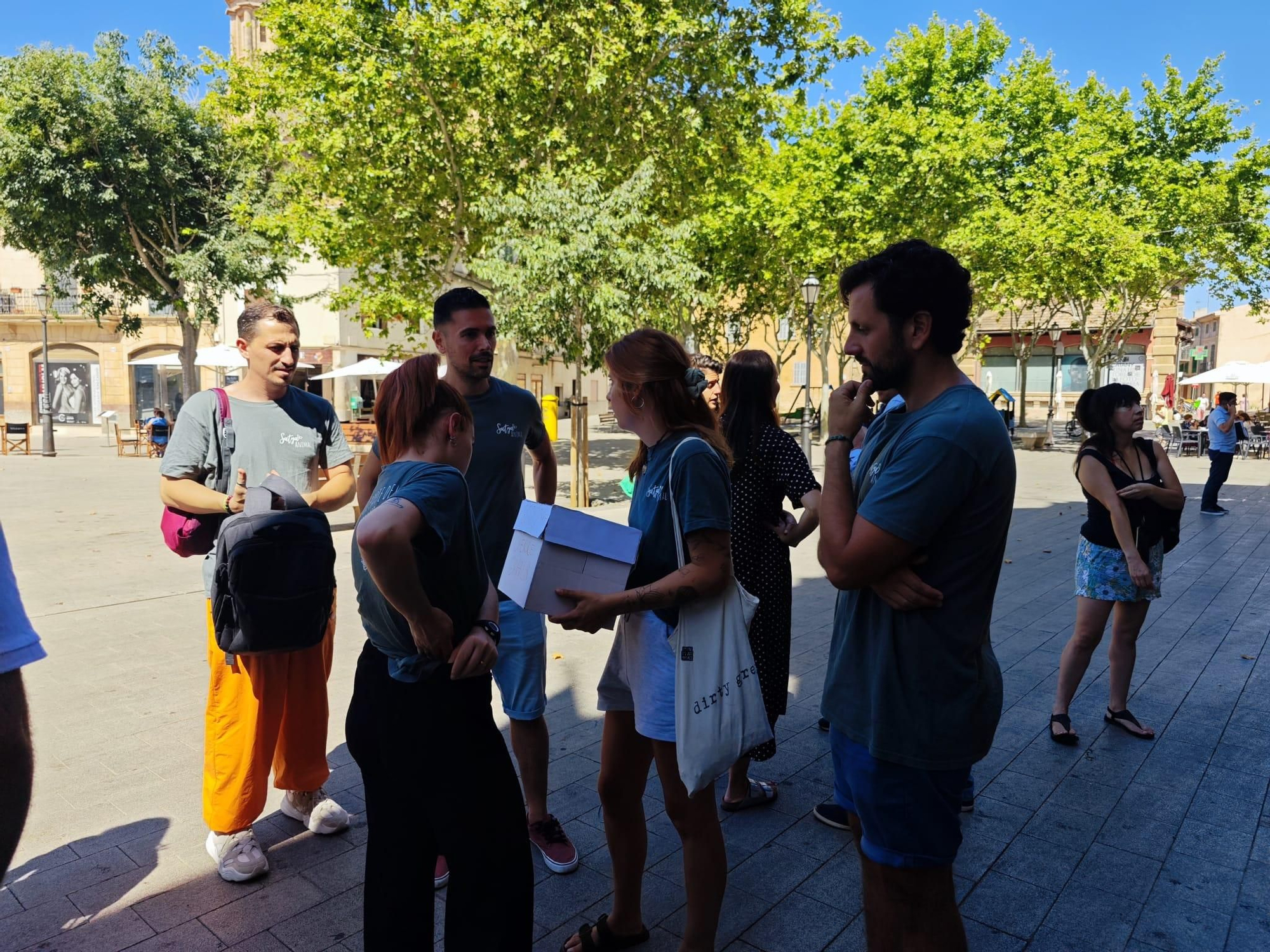 FOTOS | El pleno de Llucmajor para pedir el cierre de la macrogranja, en imágenes