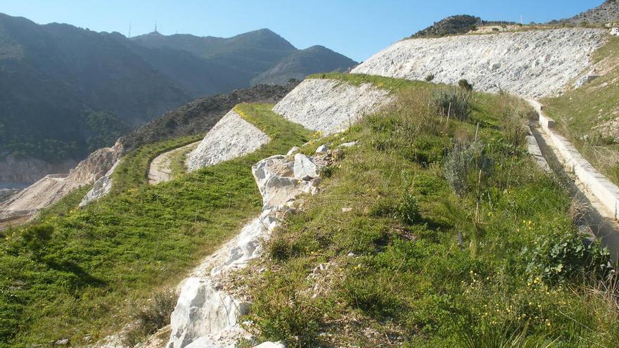 Imagen de archivo de la reforestación de la cantera de Taralpe.