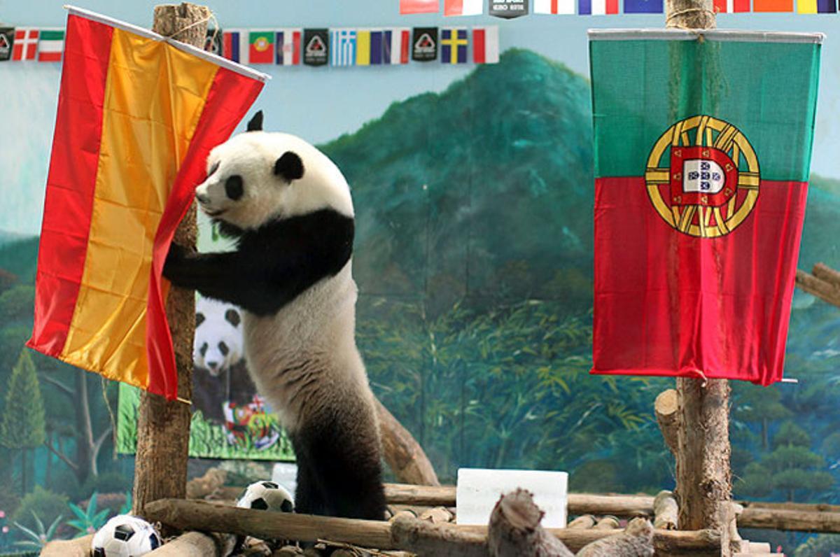 Retrobament d’una noia suposadament esclavitzada per l’Estat Islàmic amb el seu pare.