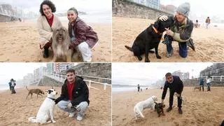 El horario para perros en verano en la playa de San Lorenzo en Gijón: los dueños de los canes prometen "no molestar"