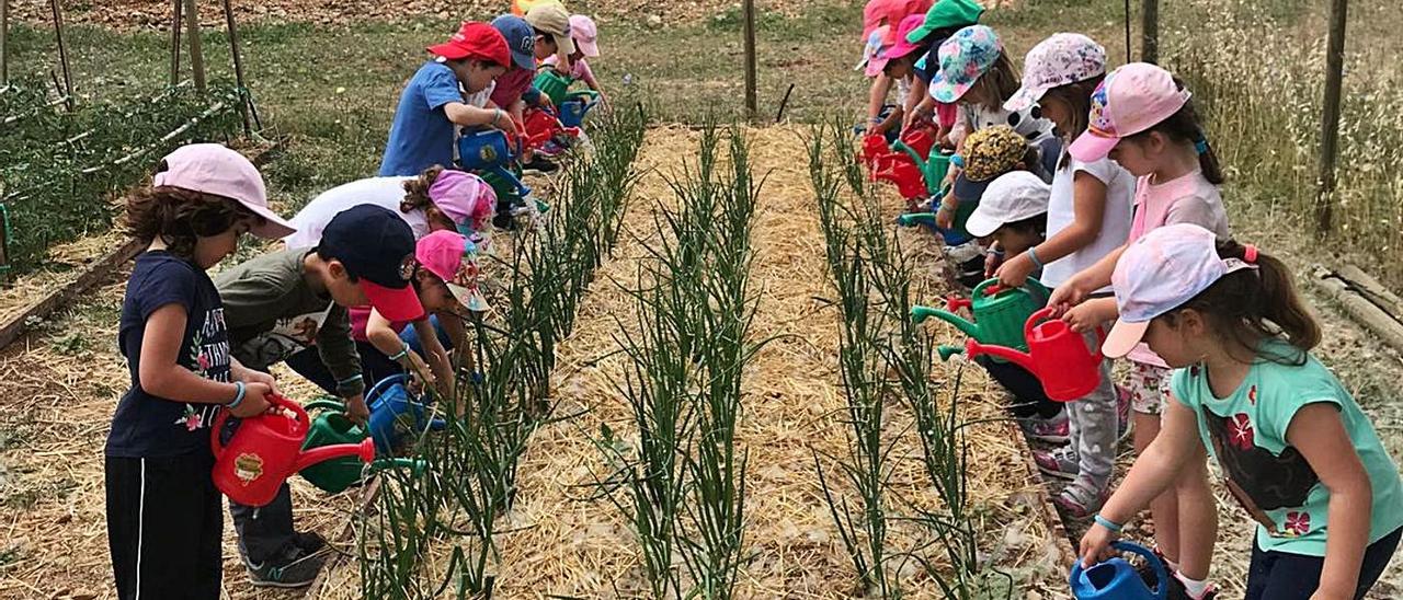 Un grupo de niños este verano en s’Olivaret.