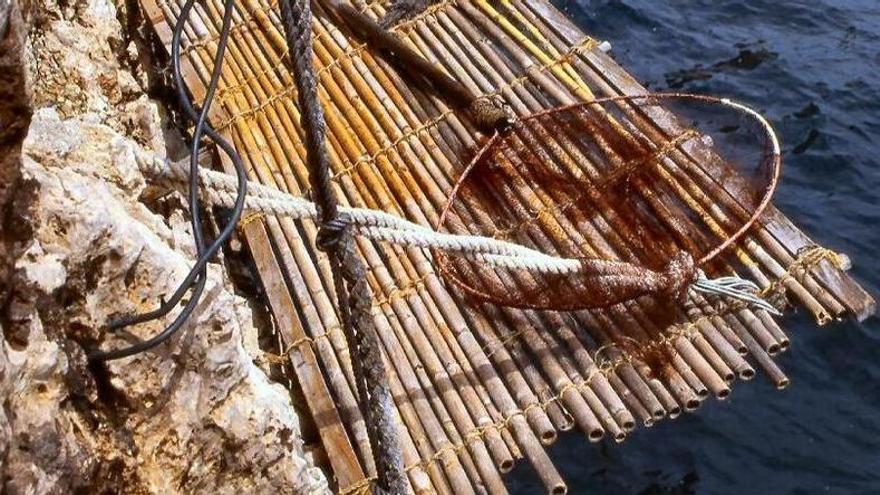 Bajar a la "pesquera" del acantilado: es posible en Benitatxell y sin jugarte la vida