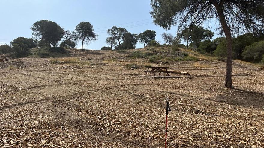 Los ecologistas denuncian el desbroce de monte bajo en el parque El Recorral de Rojales