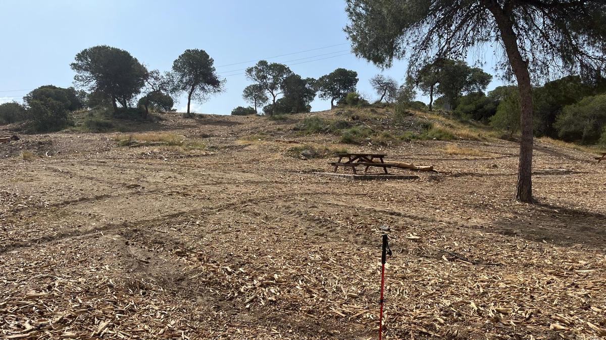 Desbroce en el parque El Recorral de Rojales