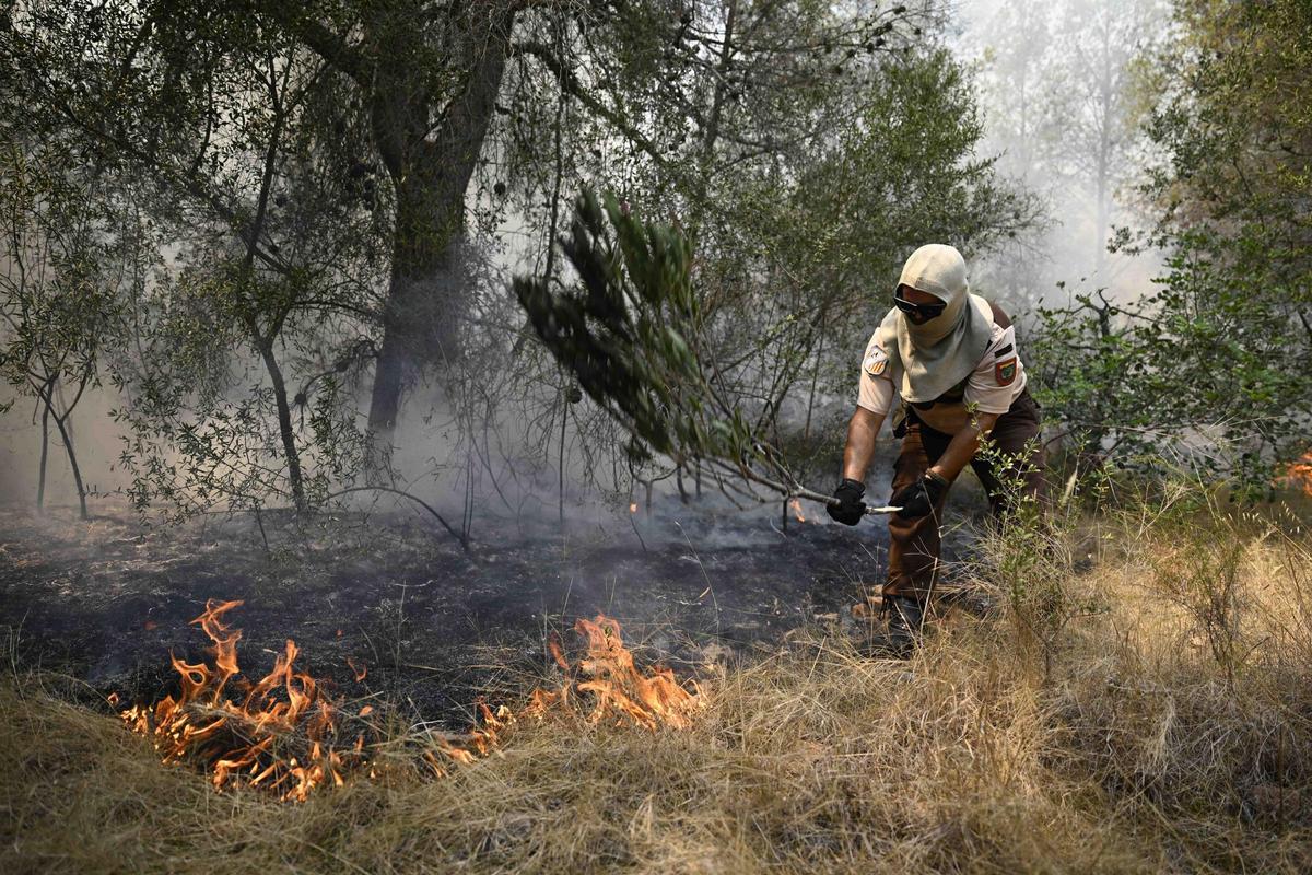 Tasques d’extinció a la Serra d’Espadà.