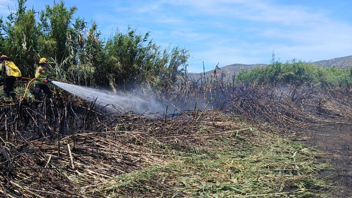 Els Bombers remullen la zona de l'incendi de Palau-saverdera aquest 1 de juliol.