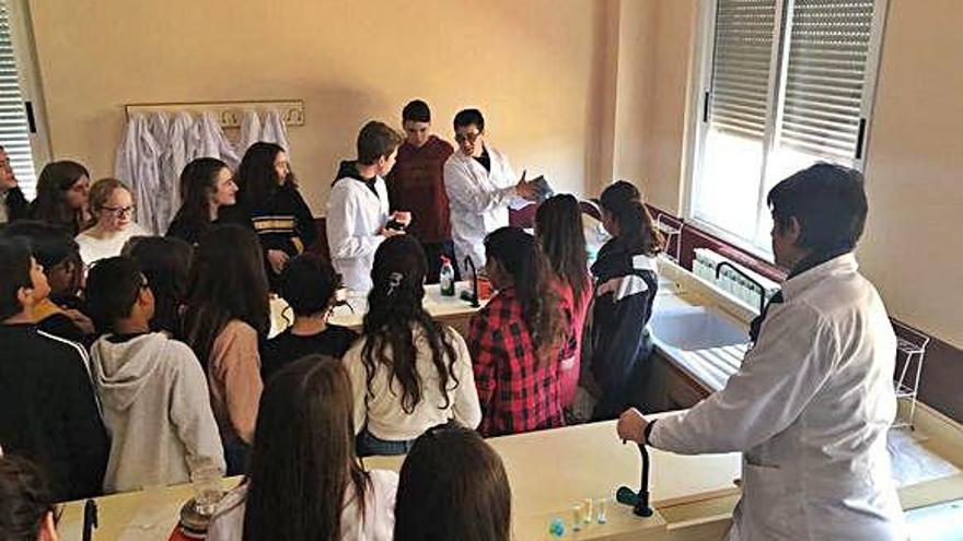 Taller de elaboración de un bálsamo labial por los alumnos de Ciencias de !.º de Bachillerato.