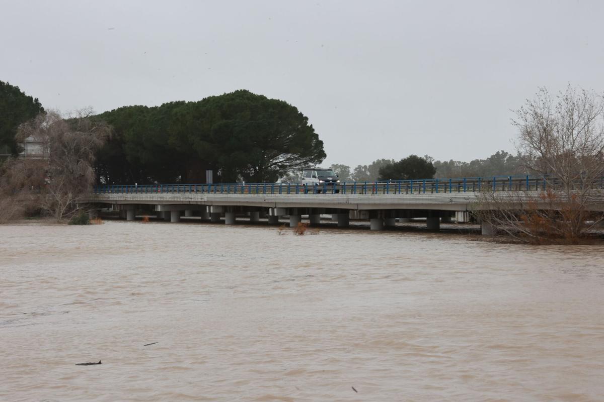 Uno de los puntos desbordados del Guadalete