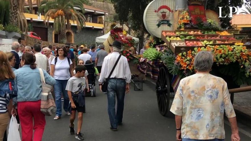 Comienza la Romería del Pino