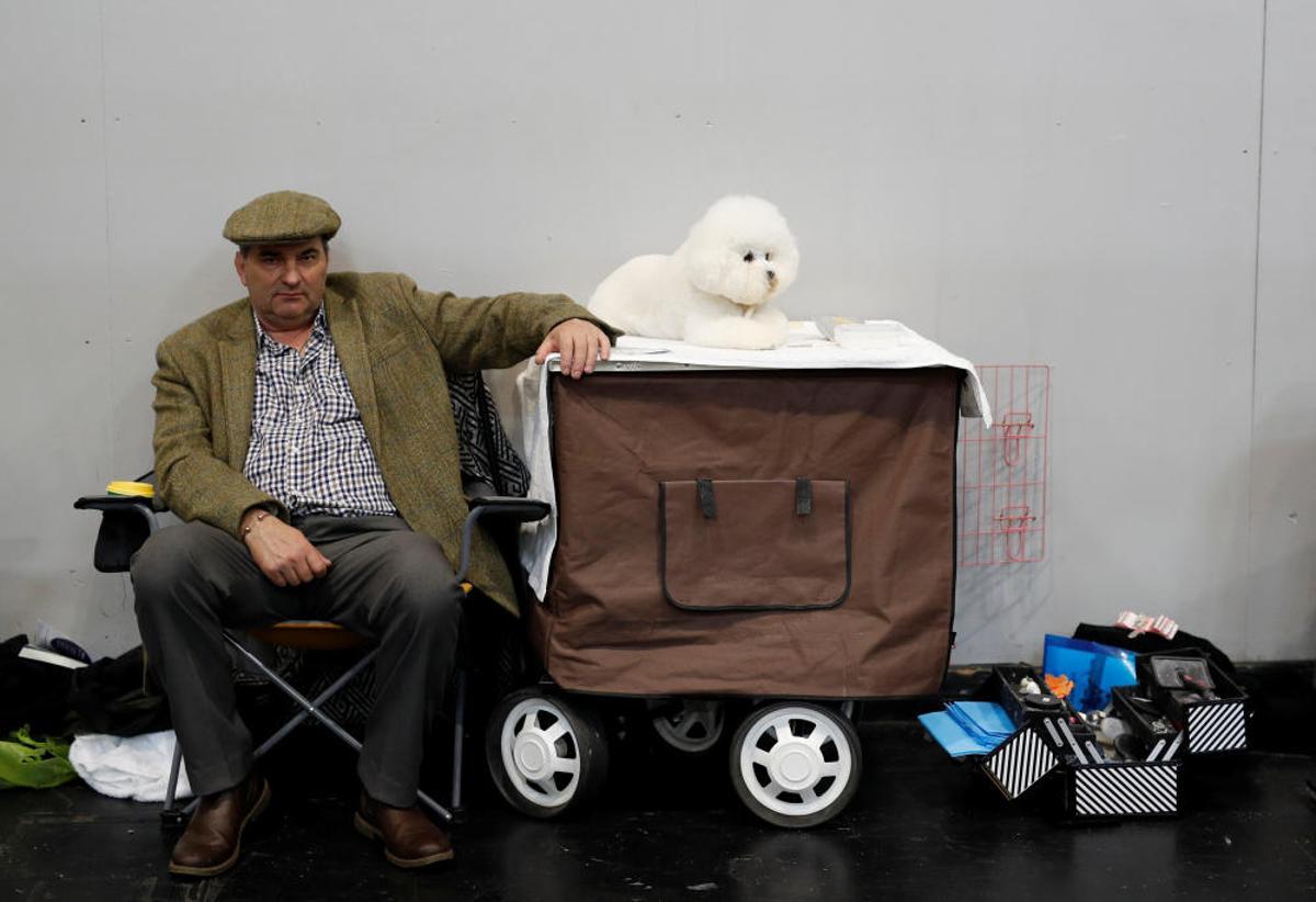 Crufts Dog Show, l'exhibició de gossos més gran d'Anglaterra