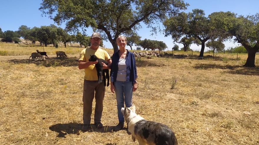 BBVA premia a una ganadería de Extremadura como mejor productor sostenible de España en 2024