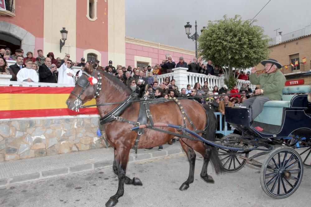 Bendición de los animales en Cartagena