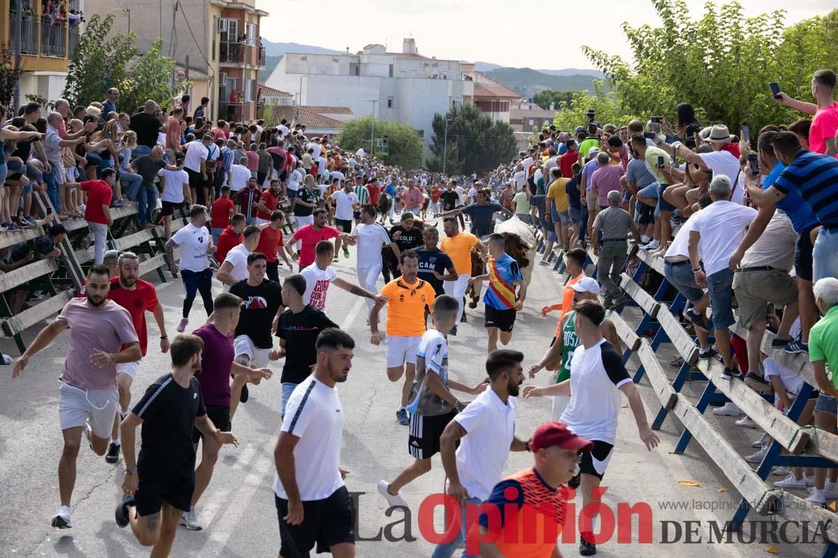 Primer encierro de la Feria del Arroz de Calasparra