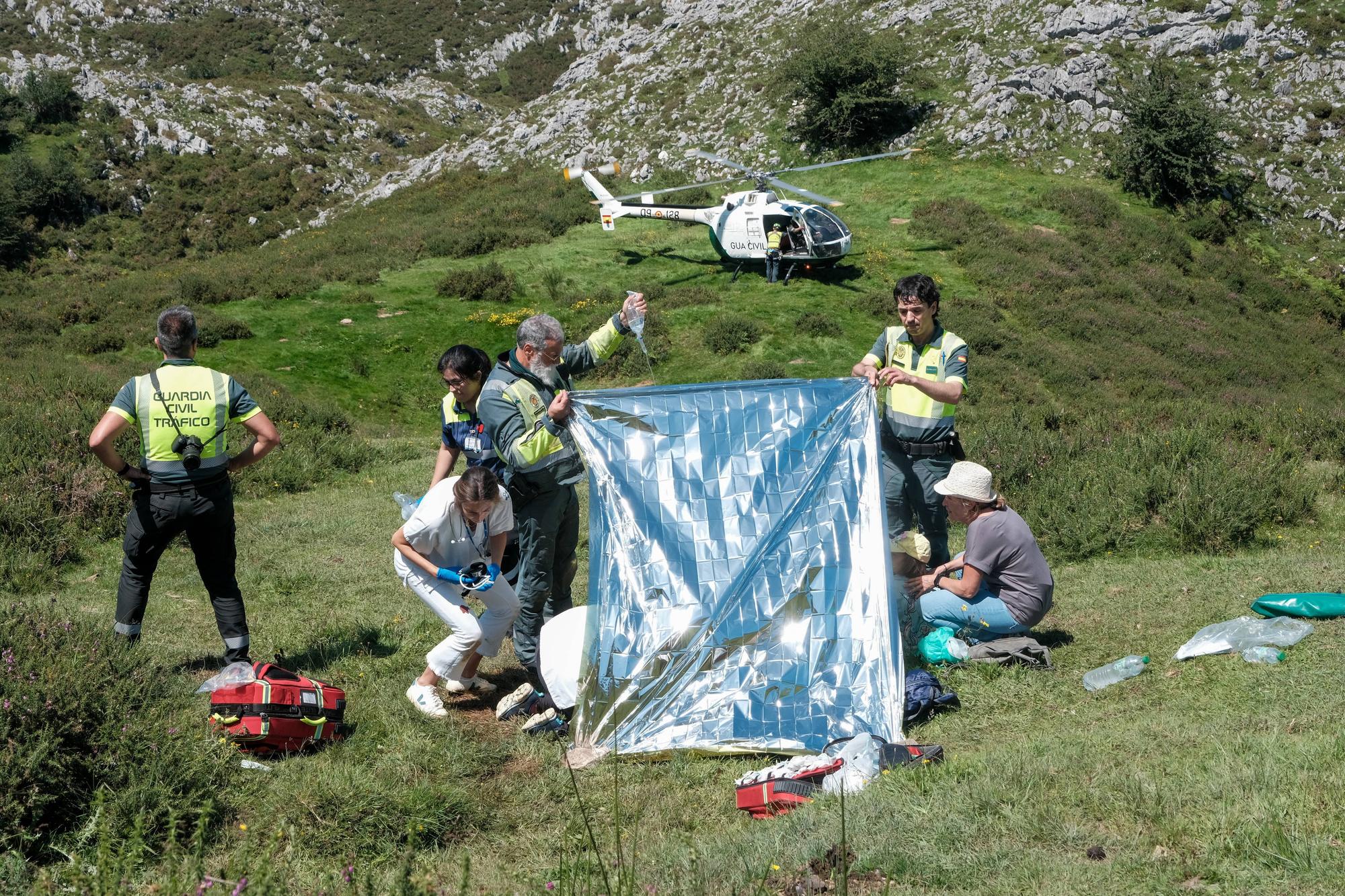 Grave accidente en Covadonga al despeñarse un autobús con niños que iba a los Lagos