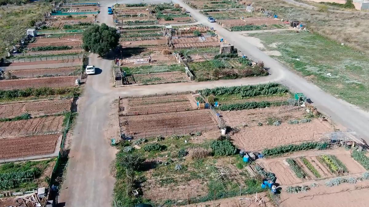 Vista aérea de los huertos urbanos de Sagunt.