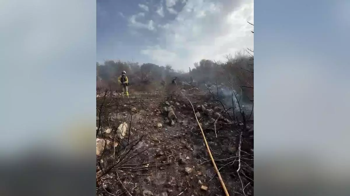 VÍDEO | Incendio forestal en el Puig de sa Bassa, en Son Servera