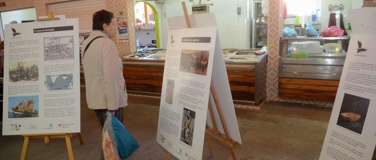 Presentación de la muestra &quot;O camiño do mar&quot; en Pontecesures. // Noé Parga