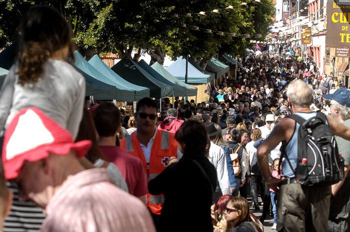 DIA DEL TURISTA. FIESTA DEL ALMENDRO EN FLOR EN ...