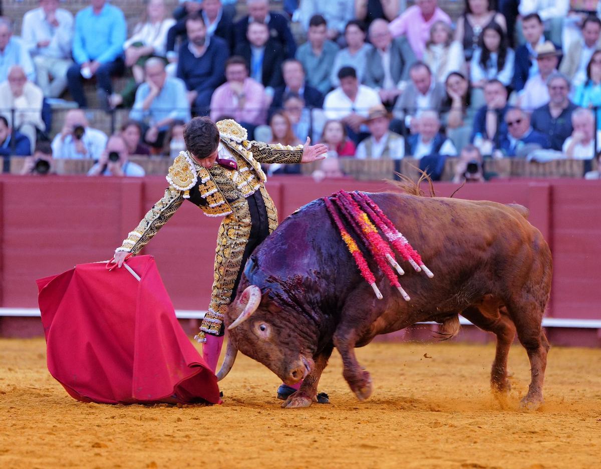 Aarón Palacio en la Real Maestranza de Sevilla.