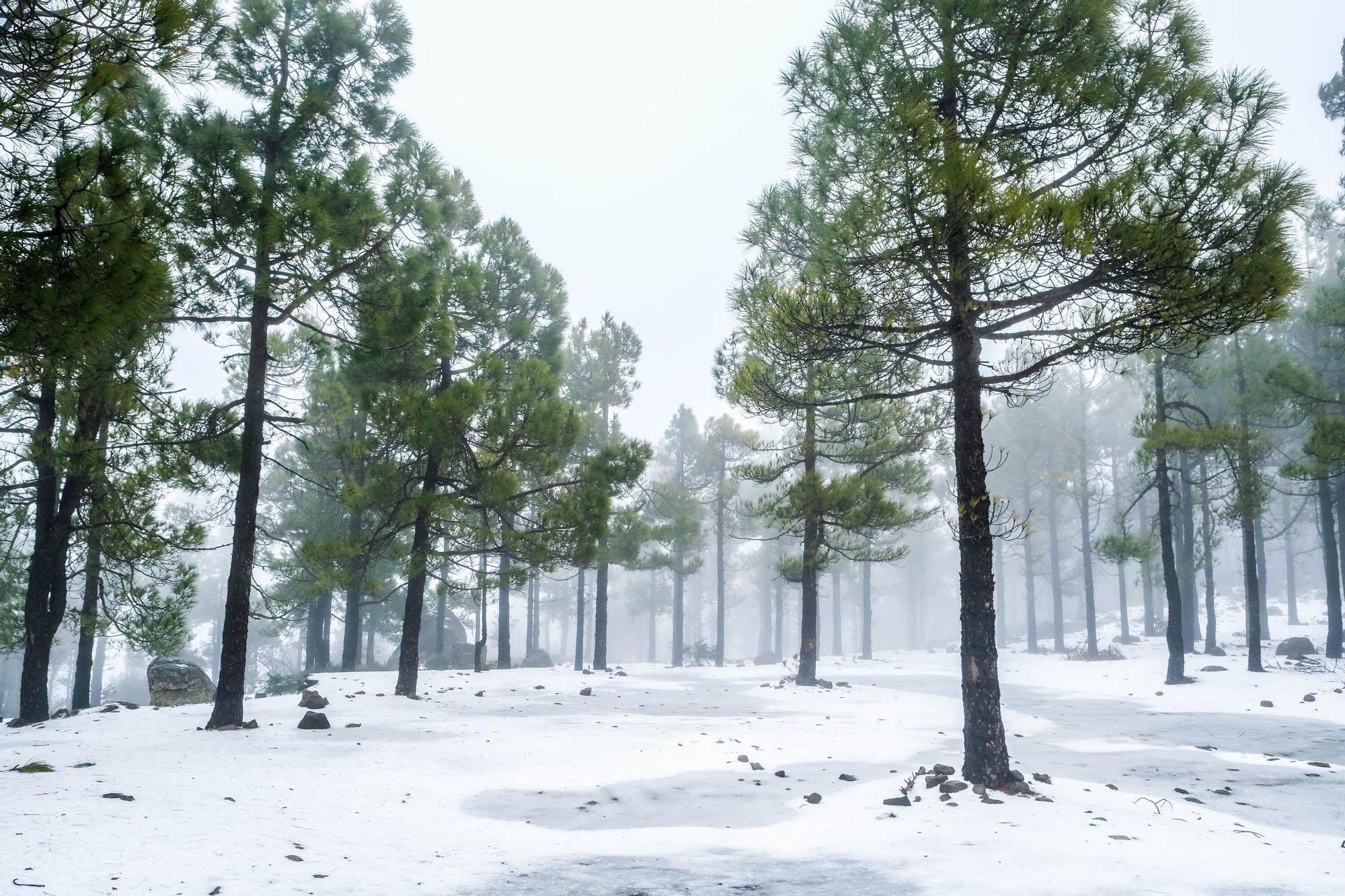 Nieve en la cumbre de Gran Canaria (15/03/2022)