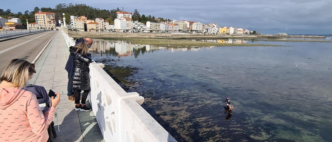 Desde el puente, los ciudadanos pueden seguir de cerca el trabajo de los pescadores deportivos.